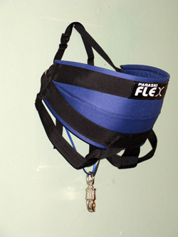 Paraskiflex